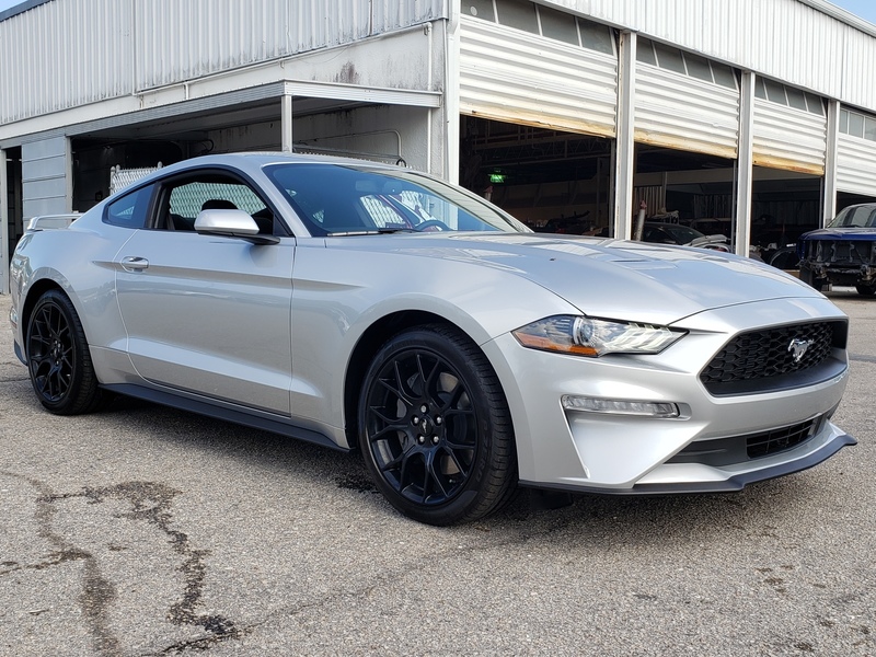 New 2019 FORD MUSTANG ECOBOOST FASTBACK Rear Wheel Drive Fastback